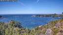 ./images/calvert/foggy-cove/20260915/foggy-cove20260915_140002M.jpg