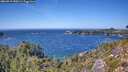 ./images/calvert/foggy-cove/20260915/foggy-cove20260915_140501M.jpg