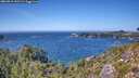 ./images/calvert/foggy-cove/20260915/foggy-cove20260915_141501M.jpg