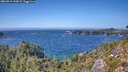 ./images/calvert/foggy-cove/20260915/foggy-cove20260915_143001M.jpg