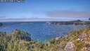 ./images/calvert/foggy-cove/20260915/foggy-cove20260915_144002M.jpg