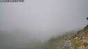 ./images/calvert/foggy-cove/20260915/foggy-cove20260915_145001M.jpg