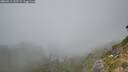./images/calvert/foggy-cove/20260915/foggy-cove20260915_145501M.jpg