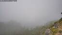 ./images/calvert/foggy-cove/20260915/foggy-cove20260915_152501M.jpg