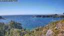 ./images/calvert/foggy-cove/20260915/foggy-cove20260915_162002M.jpg