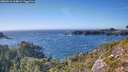 ./images/calvert/foggy-cove/20260915/foggy-cove20260915_164001M.jpg