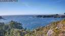 ./images/calvert/foggy-cove/20260915/foggy-cove20260915_164501M.jpg