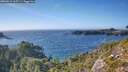 ./images/calvert/foggy-cove/20260915/foggy-cove20260915_165501M.jpg