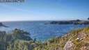 ./images/calvert/foggy-cove/20260915/foggy-cove20260915_170001M.jpg