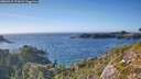 ./images/calvert/foggy-cove/20260915/foggy-cove20260915_171001M.jpg
