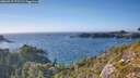 ./images/calvert/foggy-cove/20260915/foggy-cove20260915_171501M.jpg