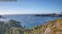 ./images/calvert/foggy-cove/20260915/foggy-cove20260915_172001M.jpg