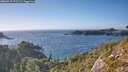 ./images/calvert/foggy-cove/20260915/foggy-cove20260915_172501M.jpg
