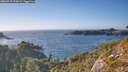 ./images/calvert/foggy-cove/20260915/foggy-cove20260915_173001M.jpg