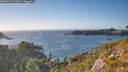 ./images/calvert/foggy-cove/20260915/foggy-cove20260915_174501M.jpg