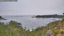 ./images/calvert/foggy-cove/20260916/foggy-cove20260916_073501M.jpg