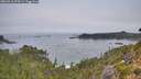 ./images/calvert/foggy-cove/20260916/foggy-cove20260916_074501M.jpg