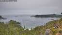 ./images/calvert/foggy-cove/20260916/foggy-cove20260916_080501M.jpg