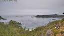 ./images/calvert/foggy-cove/20260916/foggy-cove20260916_081002M.jpg