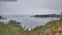 ./images/calvert/foggy-cove/20260916/foggy-cove20260916_081501M.jpg