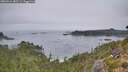 ./images/calvert/foggy-cove/20260916/foggy-cove20260916_082501M.jpg