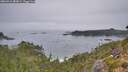 ./images/calvert/foggy-cove/20260916/foggy-cove20260916_083001M.jpg
