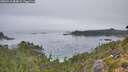 ./images/calvert/foggy-cove/20260916/foggy-cove20260916_084002M.jpg