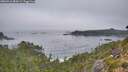 ./images/calvert/foggy-cove/20260916/foggy-cove20260916_084501M.jpg
