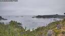 ./images/calvert/foggy-cove/20260916/foggy-cove20260916_091001M.jpg