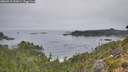 ./images/calvert/foggy-cove/20260916/foggy-cove20260916_092001M.jpg