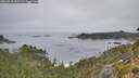 ./images/calvert/foggy-cove/20260916/foggy-cove20260916_092501M.jpg