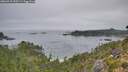 ./images/calvert/foggy-cove/20260916/foggy-cove20260916_093501M.jpg