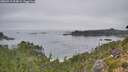 ./images/calvert/foggy-cove/20260916/foggy-cove20260916_094002M.jpg