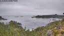 ./images/calvert/foggy-cove/20260916/foggy-cove20260916_095502M.jpg