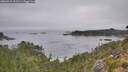./images/calvert/foggy-cove/20260916/foggy-cove20260916_101501M.jpg