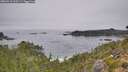 ./images/calvert/foggy-cove/20260916/foggy-cove20260916_103501M.jpg