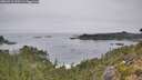 ./images/calvert/foggy-cove/20260916/foggy-cove20260916_110501M.jpg
