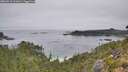 ./images/calvert/foggy-cove/20260916/foggy-cove20260916_111001M.jpg