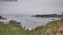 ./images/calvert/foggy-cove/20260916/foggy-cove20260916_111501M.jpg