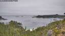 ./images/calvert/foggy-cove/20260916/foggy-cove20260916_112502M.jpg