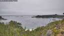 ./images/calvert/foggy-cove/20260916/foggy-cove20260916_113501M.jpg