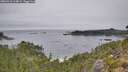 ./images/calvert/foggy-cove/20260916/foggy-cove20260916_114001M.jpg
