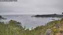 ./images/calvert/foggy-cove/20260916/foggy-cove20260916_115001M.jpg