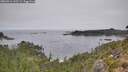 ./images/calvert/foggy-cove/20260916/foggy-cove20260916_122501M.jpg