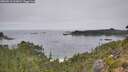 ./images/calvert/foggy-cove/20260916/foggy-cove20260916_123001M.jpg