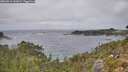 ./images/calvert/foggy-cove/20260916/foggy-cove20260916_141001M.jpg
