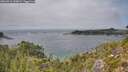 ./images/calvert/foggy-cove/20260916/foggy-cove20260916_143001M.jpg