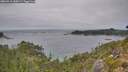 ./images/calvert/foggy-cove/20260916/foggy-cove20260916_150501M.jpg