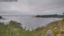./images/calvert/foggy-cove/20260916/foggy-cove20260916_164001M.jpg