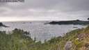 ./images/calvert/foggy-cove/20260916/foggy-cove20260916_174501M.jpg